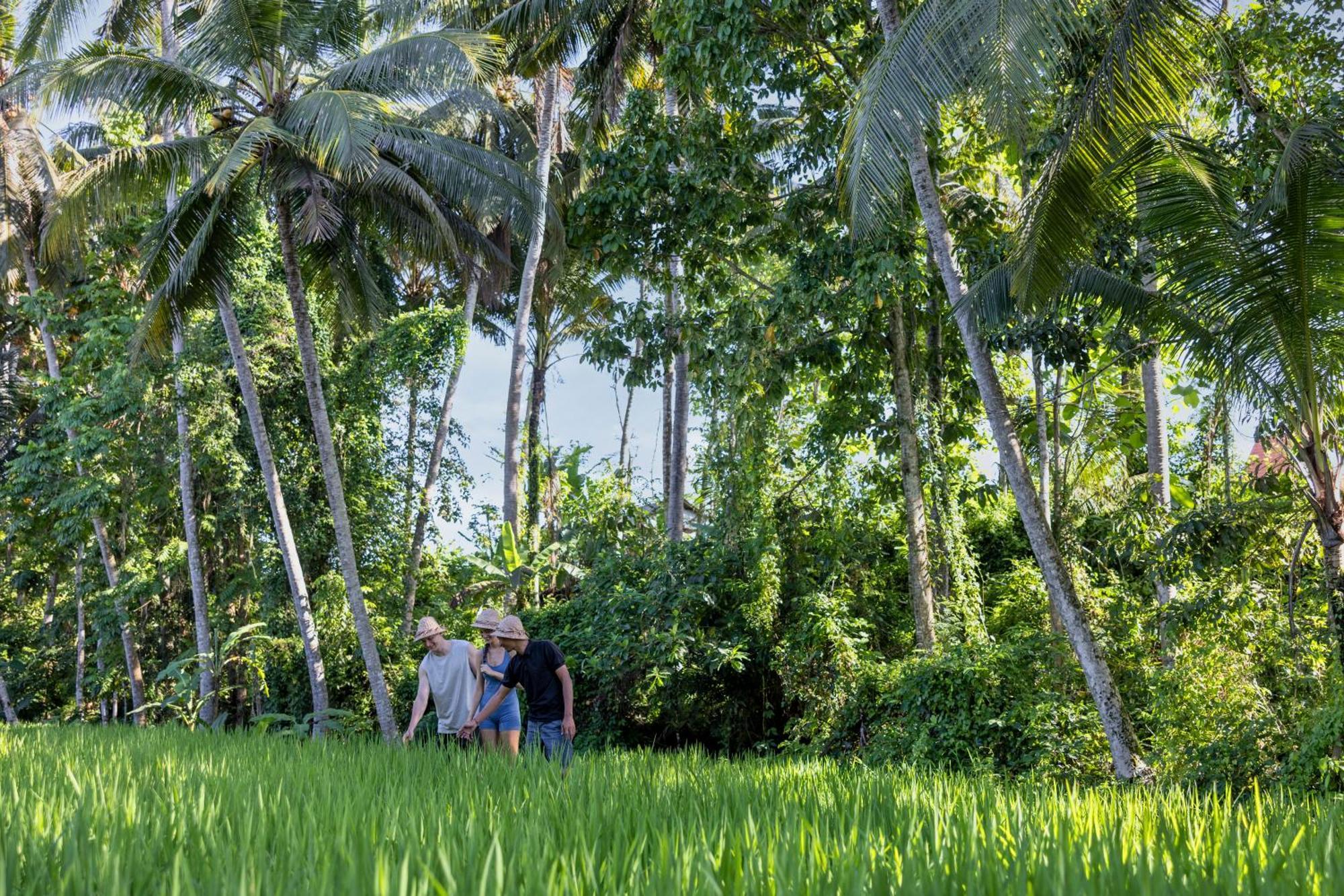 Kanhara Villas Ubud By Pramana Villas Eksteriør billede